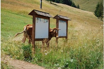 Slovensko Penzión Liptovská Teplička, Exteriér